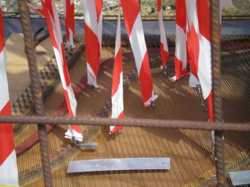 Traces by Gilles Dalbis