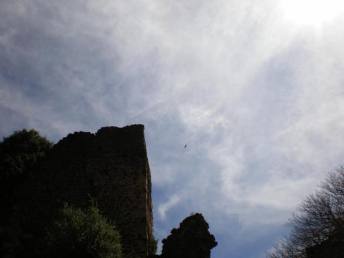 Traces By Gilles Dalbis