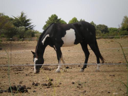 Traces By Gilles Dalbis