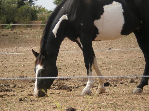 Traces By Gilles Dalbis