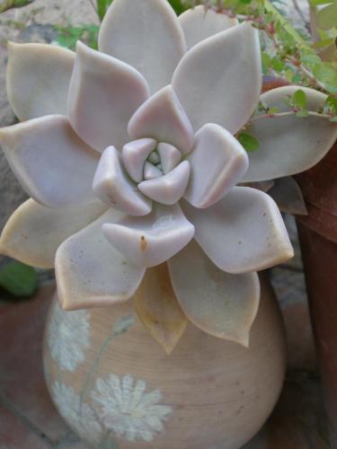 Traces by Gilles Dalbis