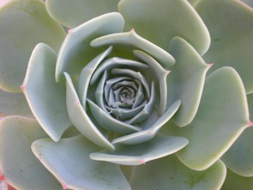 Traces by Gilles Dalbis