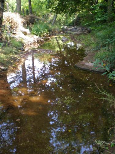 Traces by Gilles Dalbis