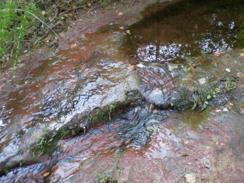 Traces by Gilles Dalbis