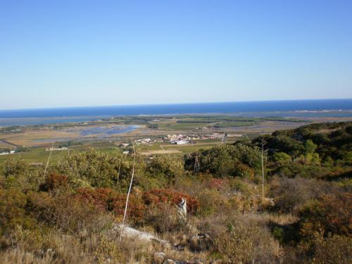 Traces by Gilles Dalbis