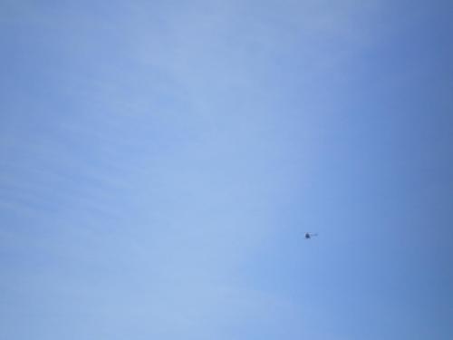 Traces by Gilles Dalbis