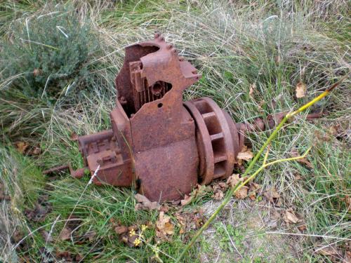 Traces by Gilles Dalbis