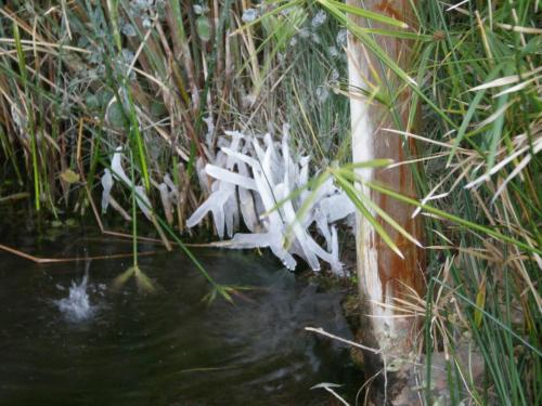 Traces by Gilles Dalbis