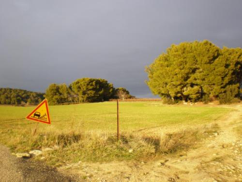 Traces by Gilles Dalbis