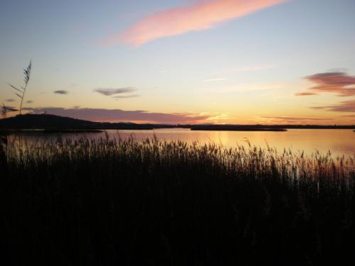 Traces by Gilles DalbisA