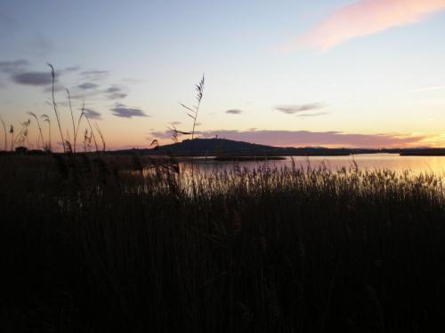 Traces by Gilles Dalbis