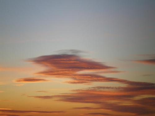 Traces by Gilles Dalbis