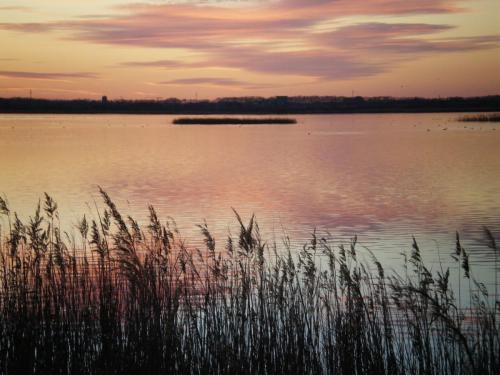 Traces by Gilles Dalbis