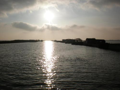 Traces by Gilles Dalbis