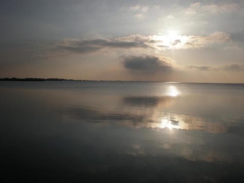 Traces by Gilles Dalbis