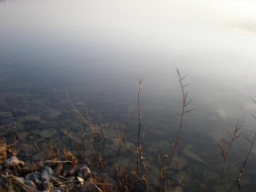 Traces by Gilles Dalbis