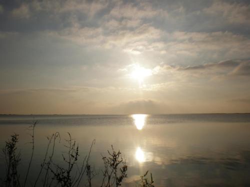 Traces by Gilles Dalbis