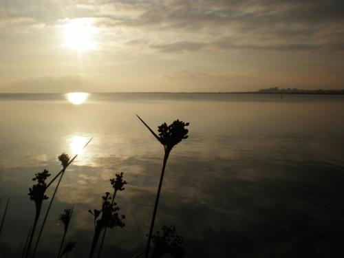 Traces by Gilles Dalbis