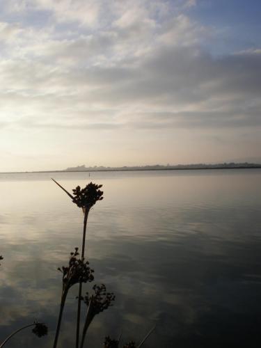 Traces by Gilles Dalbis