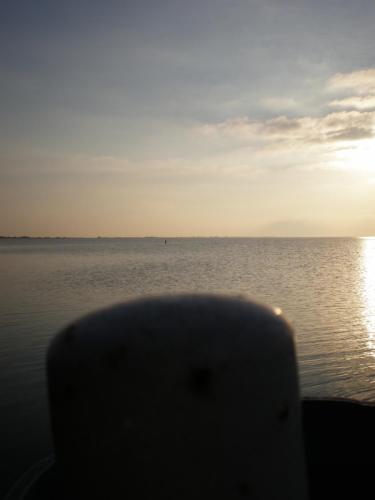 Traces by Gilles Dalbis