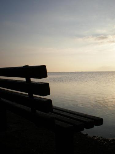 Traces by Gilles Dalbis