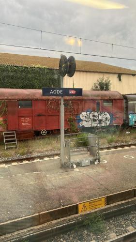 Traces by Gilles Dalbis