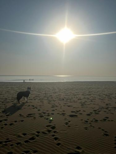 Traces by Gilles Dalbis