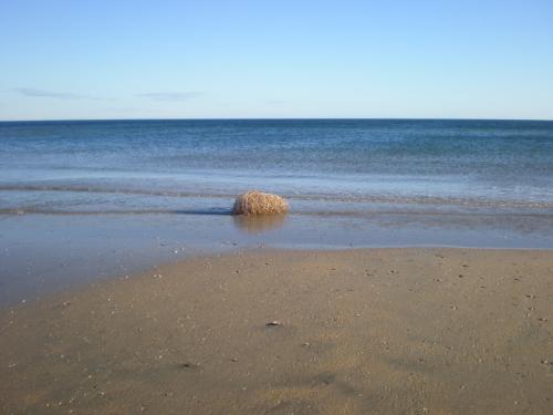 Traces by Gilles Dalbis