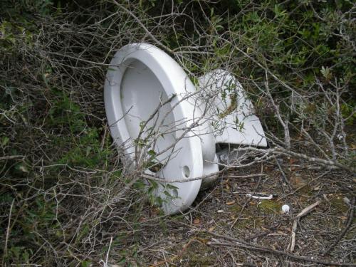 Traces by Gilles Dalbis